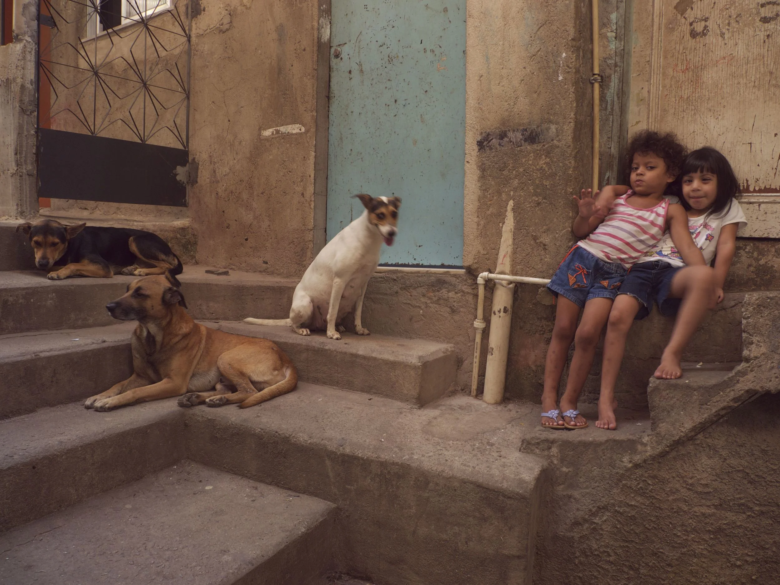Girls With Dogs